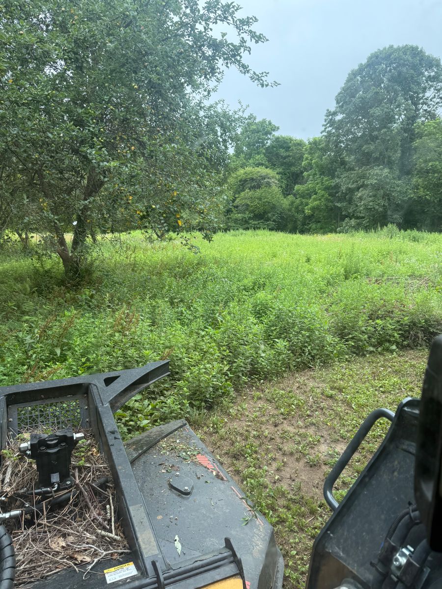 Brush hogging for DArcy  Cleveland & Sons Excavation LLC in Pawcatuck, CT