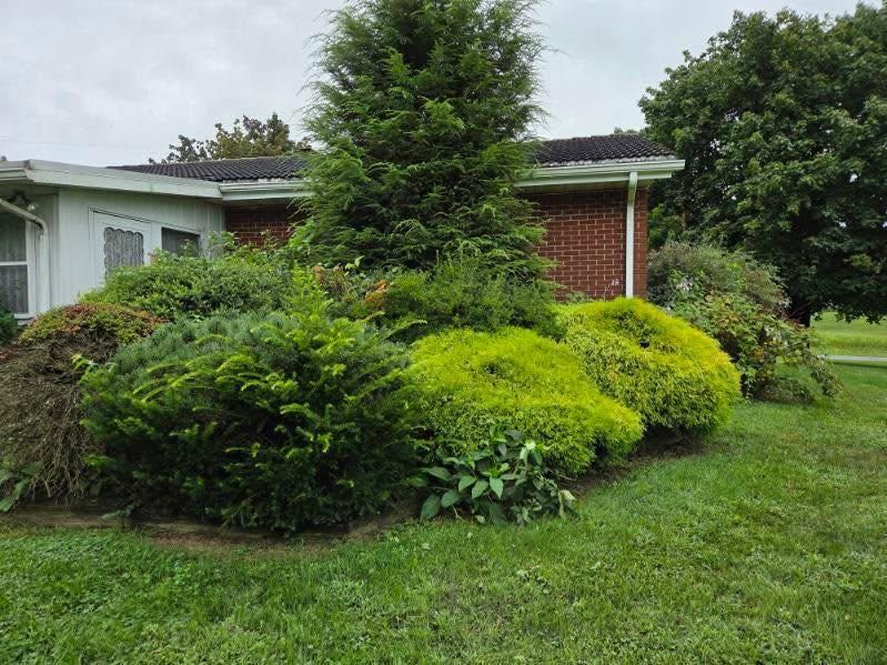 Tree Services for Jonathan A. Henne Property Services. in Hamburg, PA