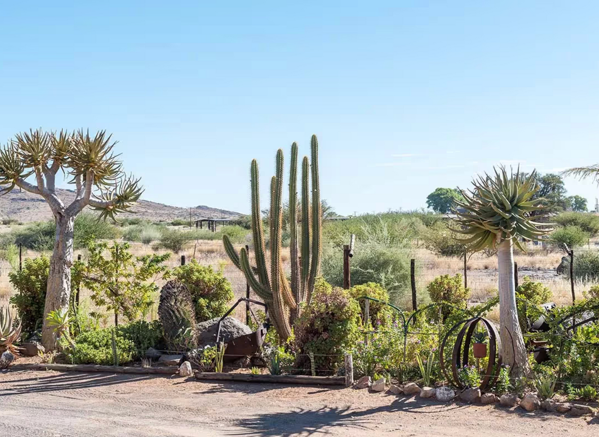 Xeriscaping for Citiscapes, LLC in Phoenix, AZ