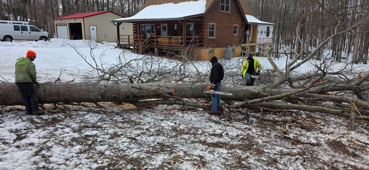 Emergency Tree Services for Hamlett Tree Service LLC in Clover, VA