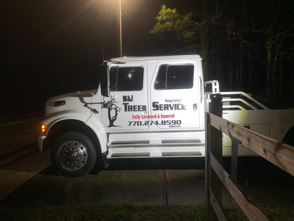 Tree Removal for M & J Tree Service & Stump Grinding in Auburn, GA
