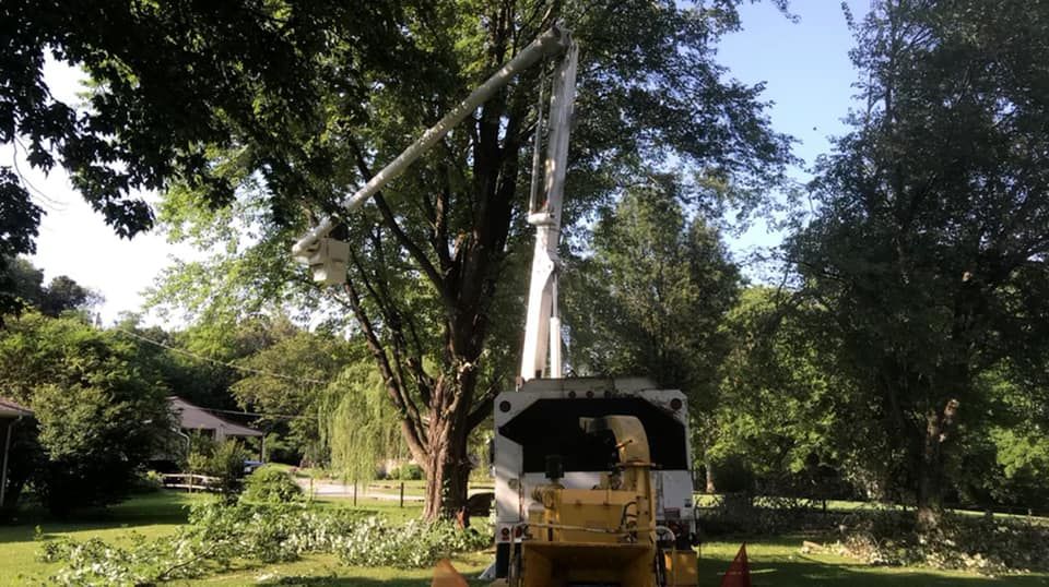 Tree Pruning for JayBird Tree Service  in Goodlettsville, TN