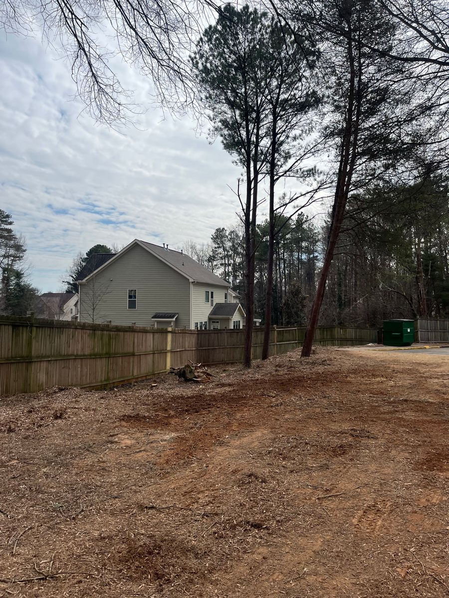 Tree Trimming for J&M Stump Grinders LLC in Douglasville, GA
