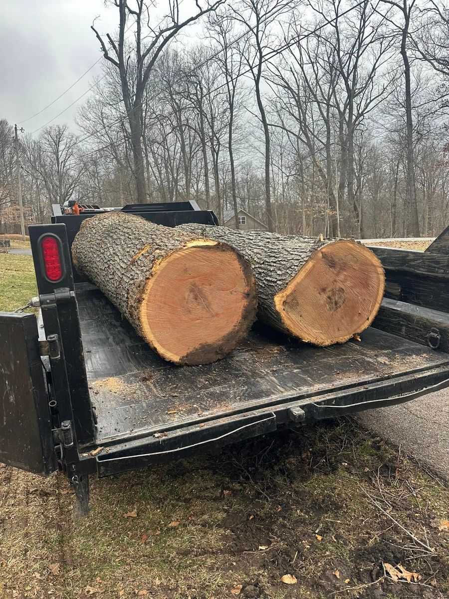 Tree Removal for Greenskeeper Property Management in Elizabethtown, KY