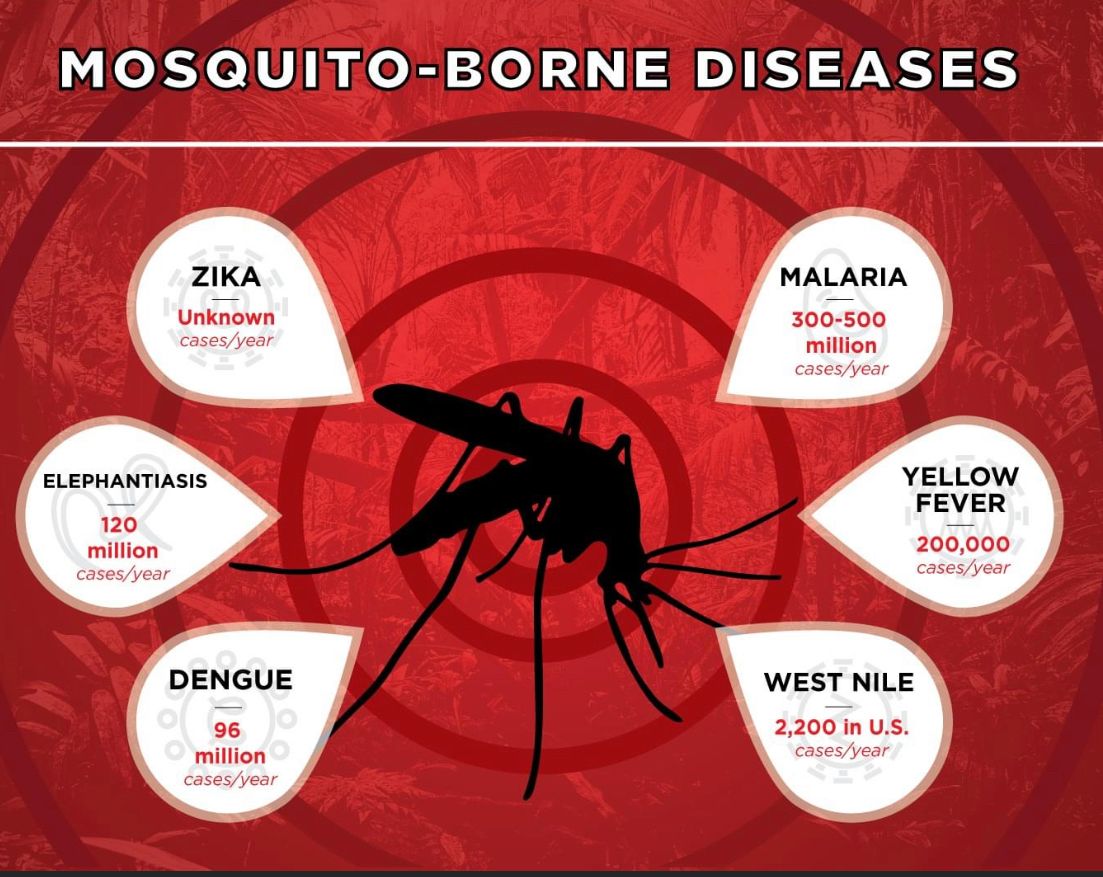 Mosquito Control for All-In Pest Control & Home Solutions in Greene County, IN