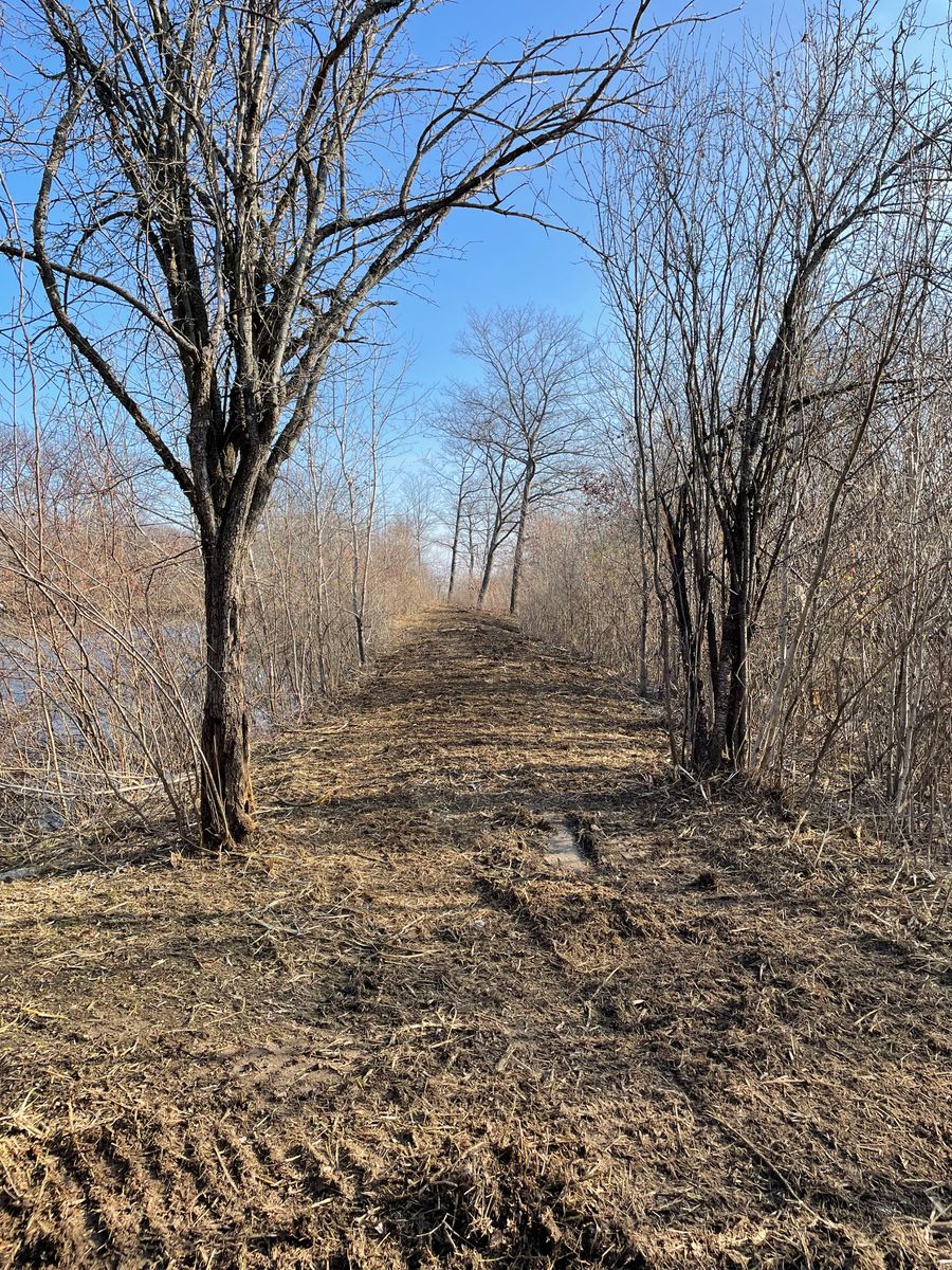 Forestry Mulching for Allstone Excavation in Rotterdam, NY