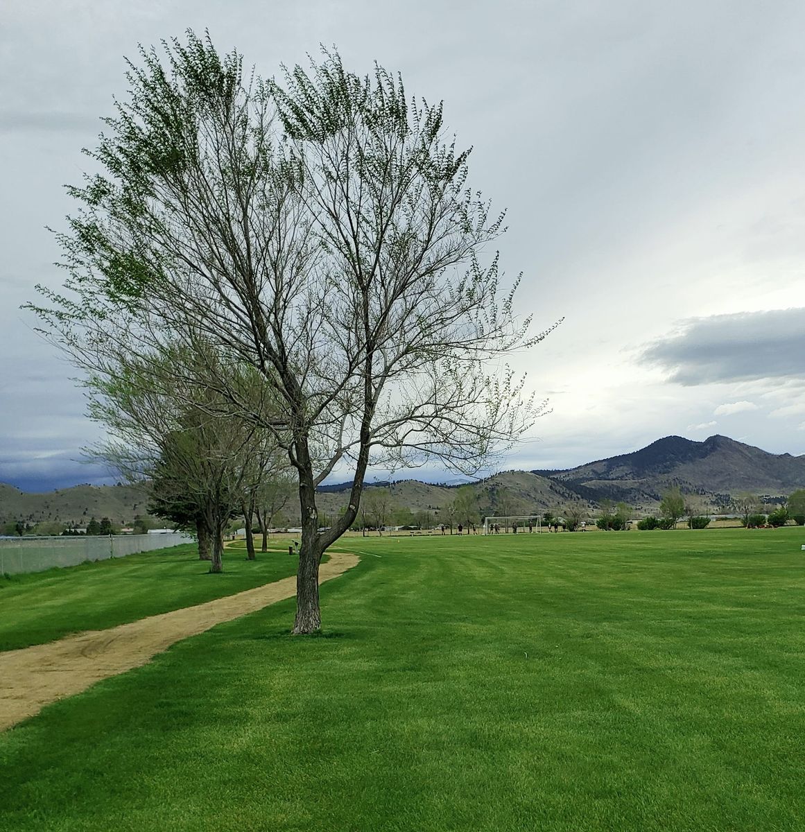 Property Clean-up for Eagle Bay Lawn & Landscape LLC in Helena, MT