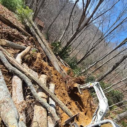 Tree Removal for Lopez Landscaping and Tree Service  in Waynesville, NC