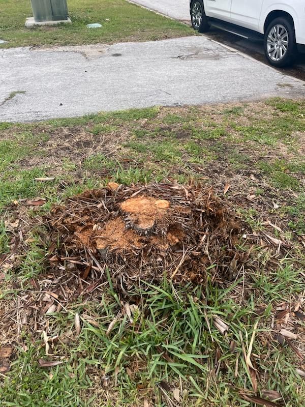 Stump Removal for KB’s Stump Removal in Pinellas county, FL