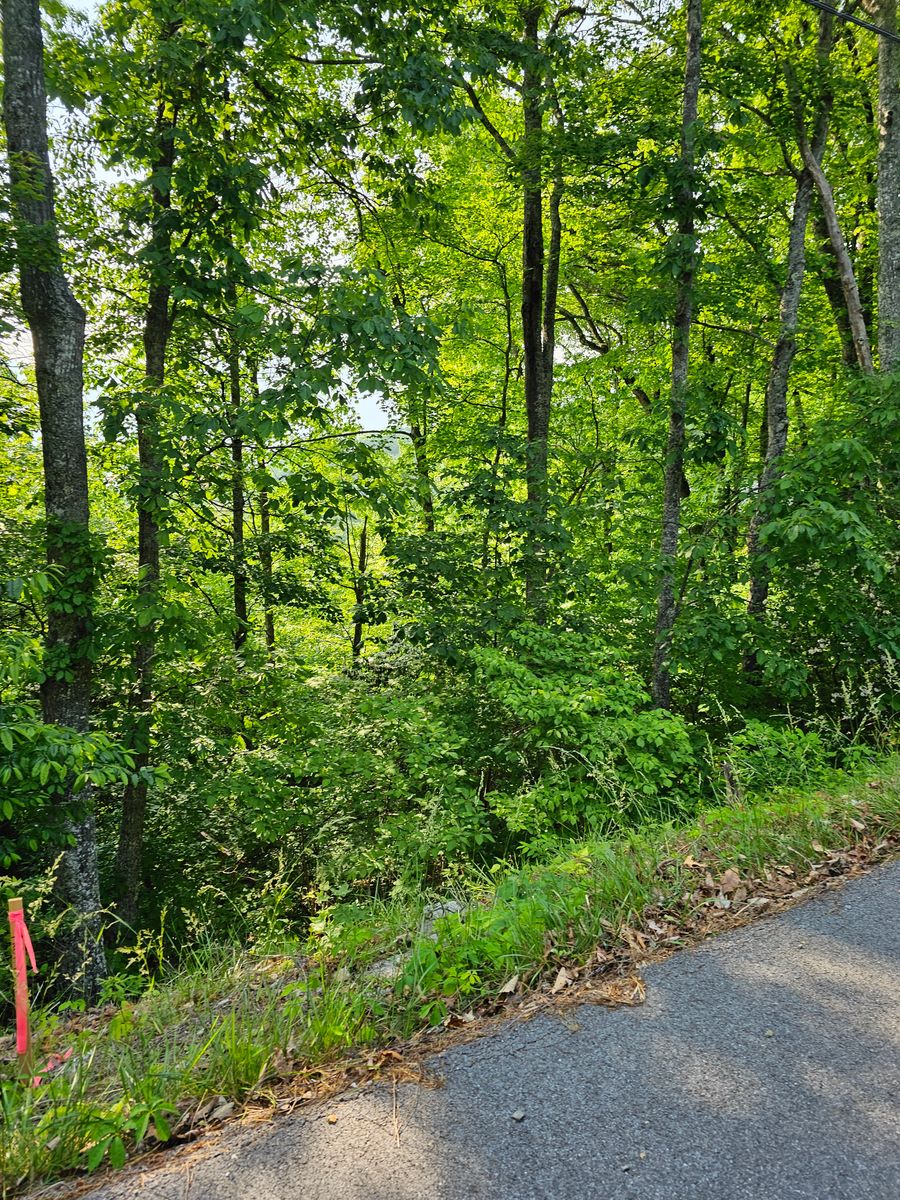 Land Clearing & Demolition for Walker Excavation in Tazewell, TN