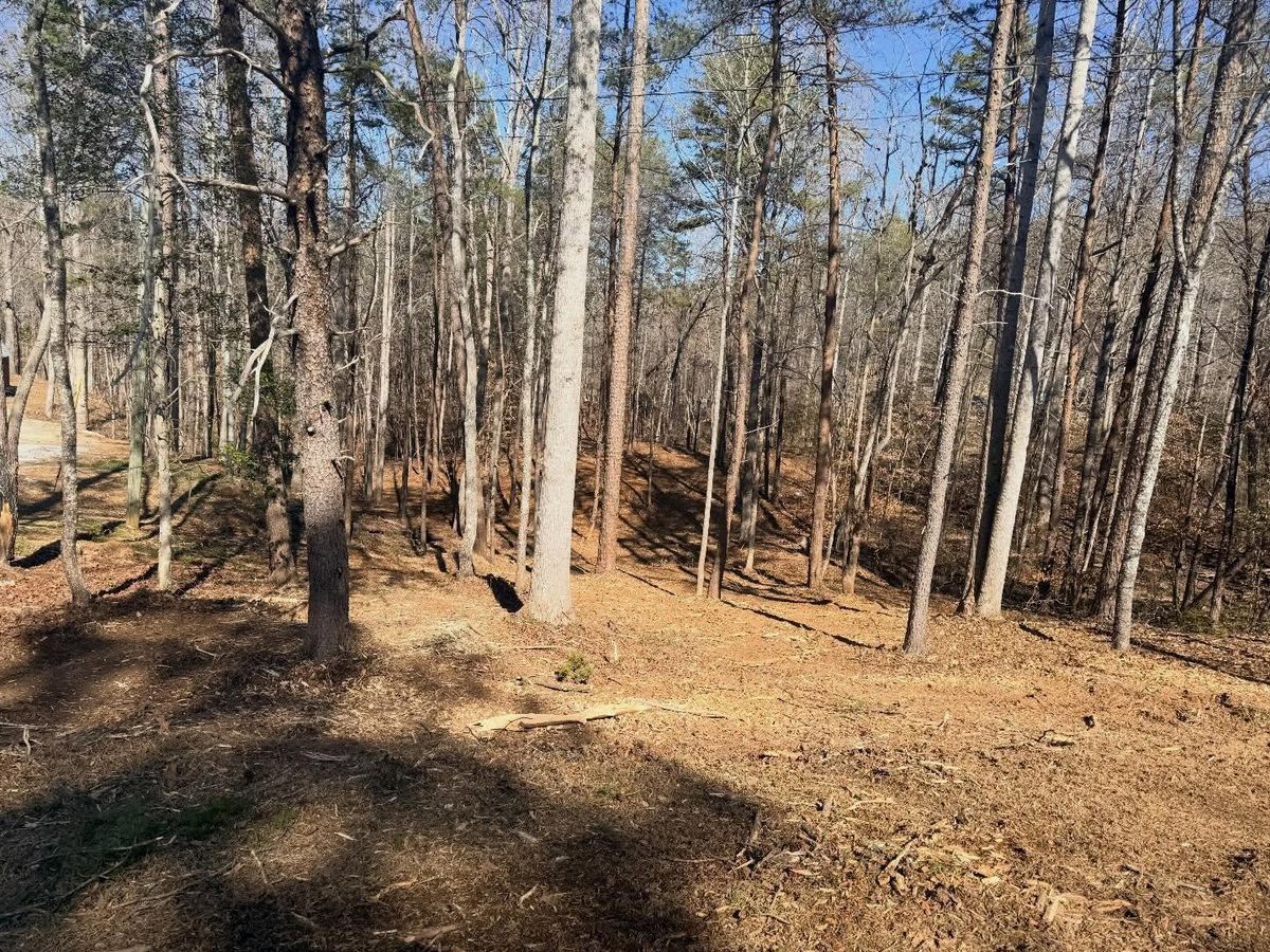 Forestry mulching for T Crane Grading LLC in Clarkesville, GA