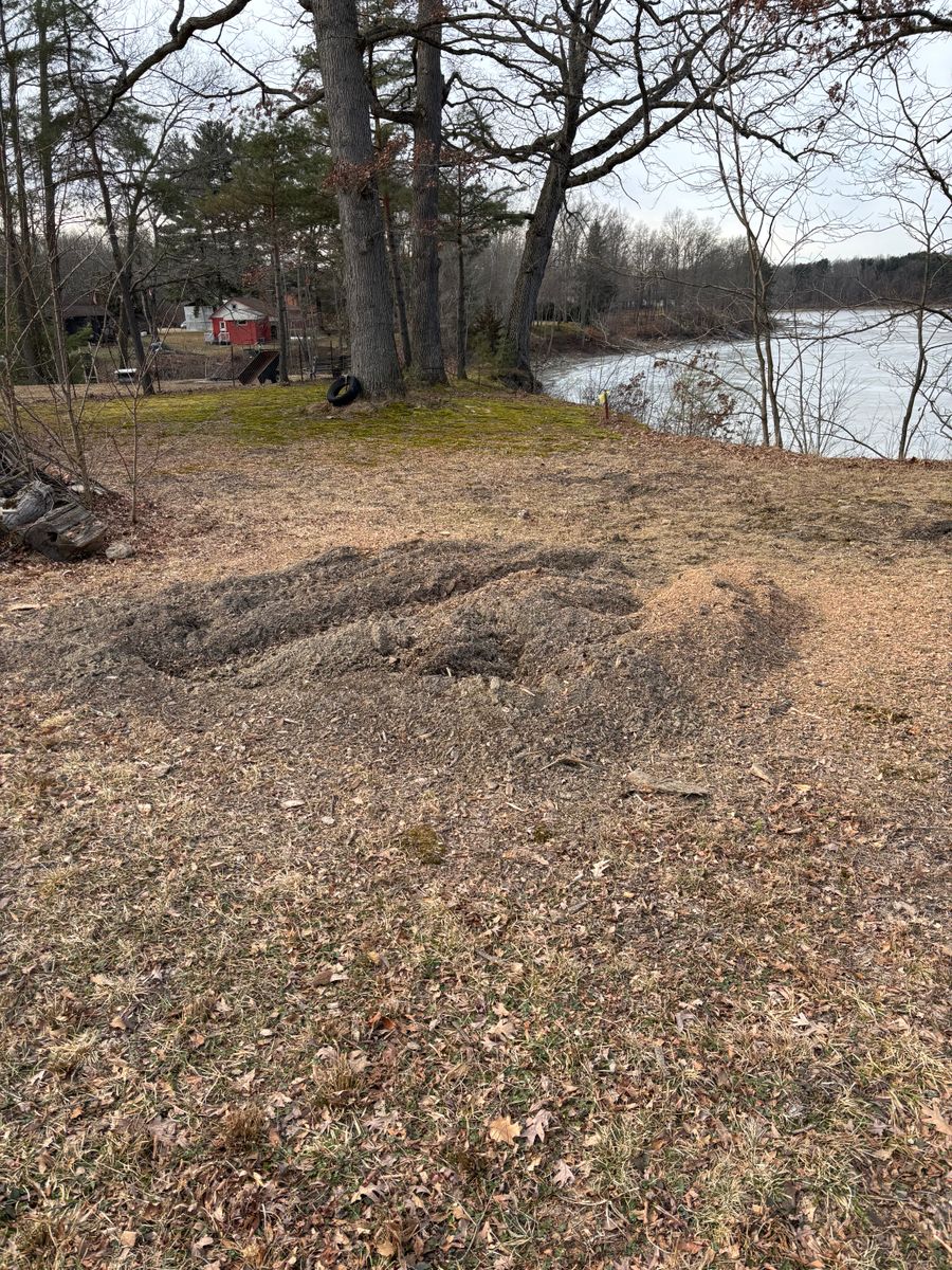 Shrub Stumps for Dean's Stump Removal in Youngstown, OH