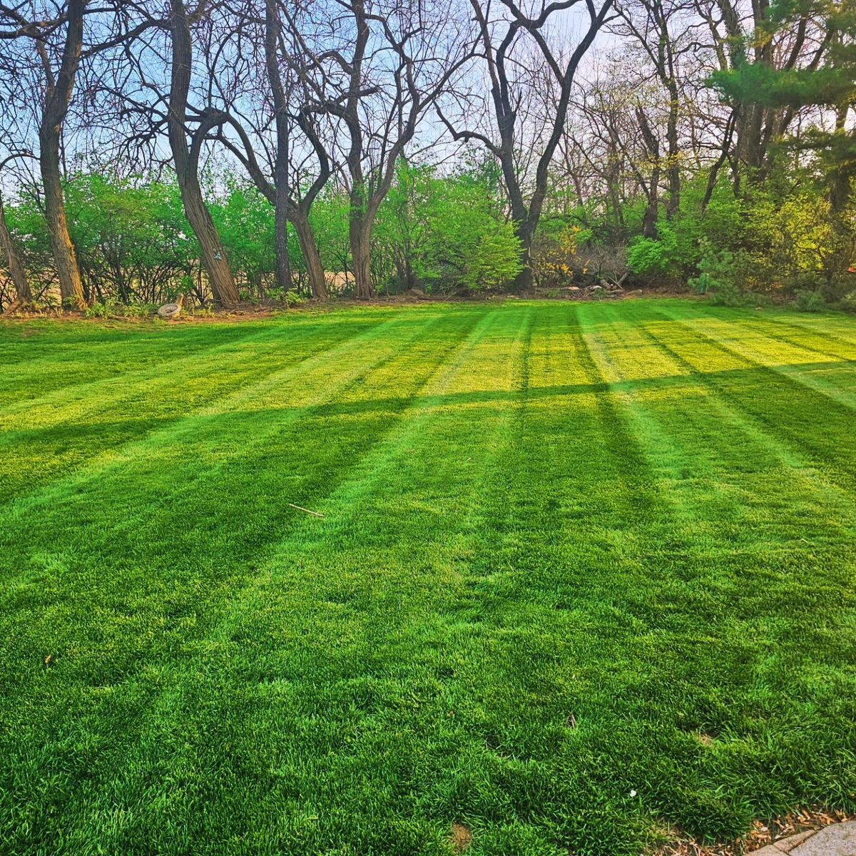 Weed Control for Trippin A-Lawn in Bethlehem, PA