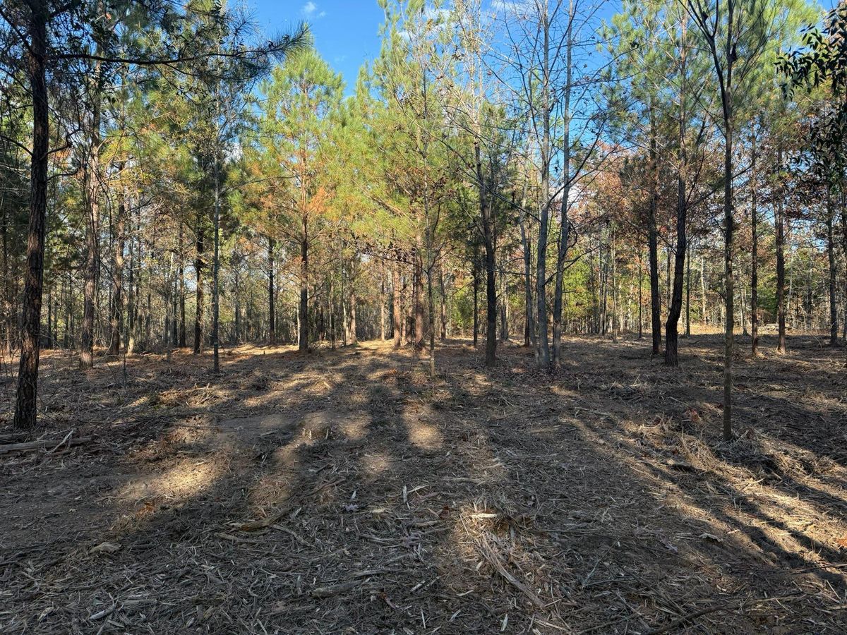 Land Clearing & Demolition for Southern Land Improvements in Edgefield, SC