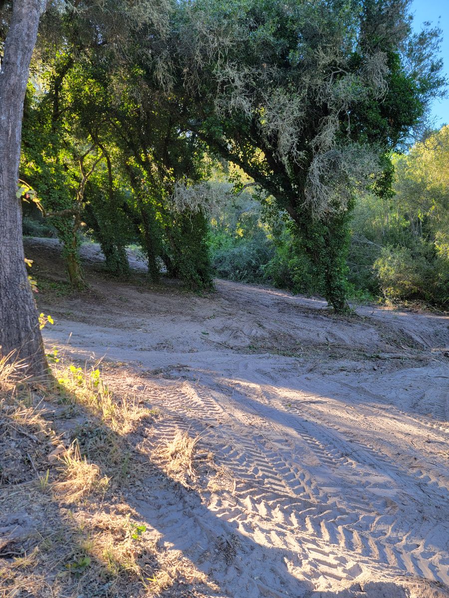 Land Clearing for Ren Levine Construction in Novato, CA