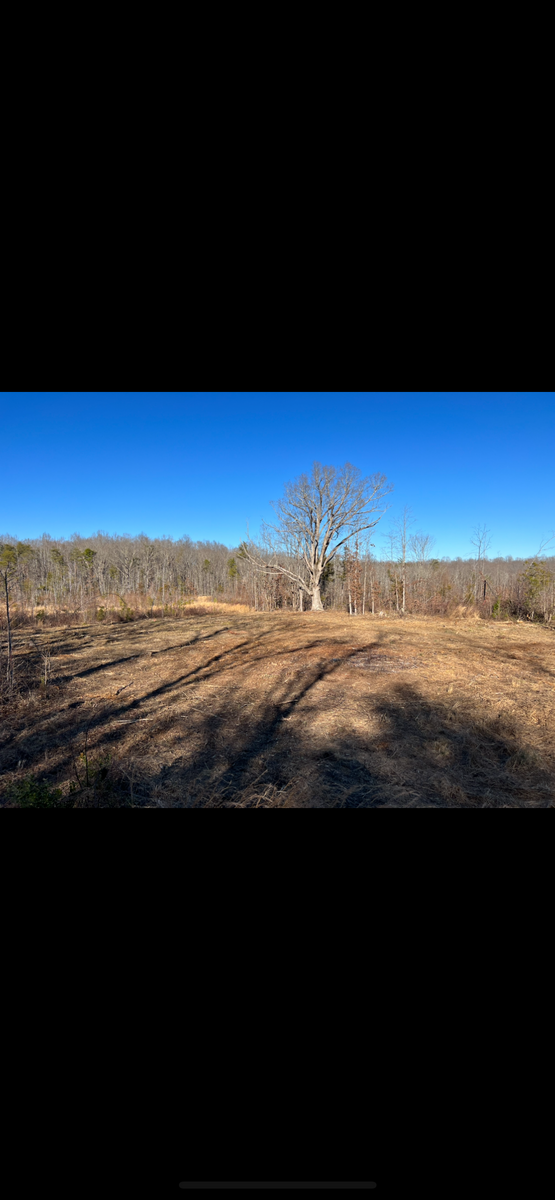 Land Clearing for Cedar Point Land Management in Richmond, VA