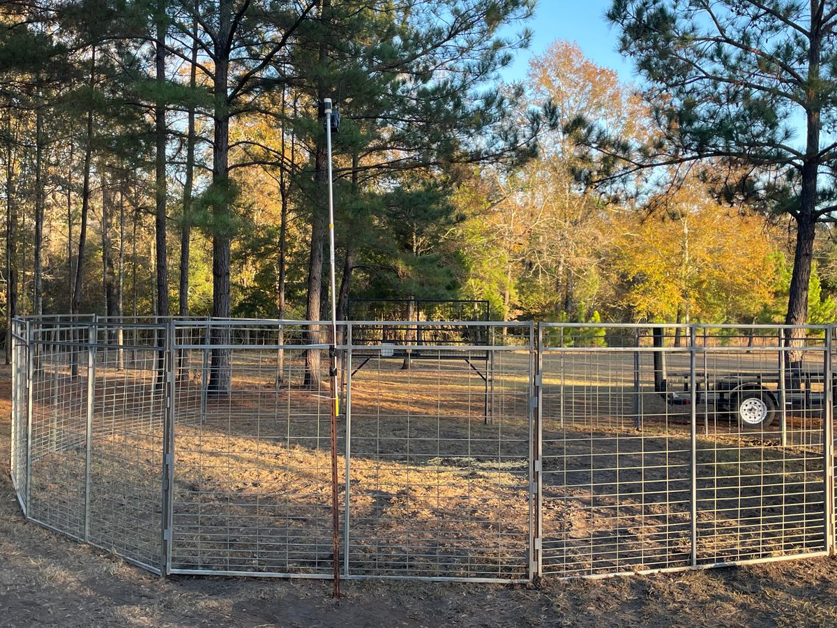 Proactive Hog Trapping for Havoc Hog Control in Molino, FL