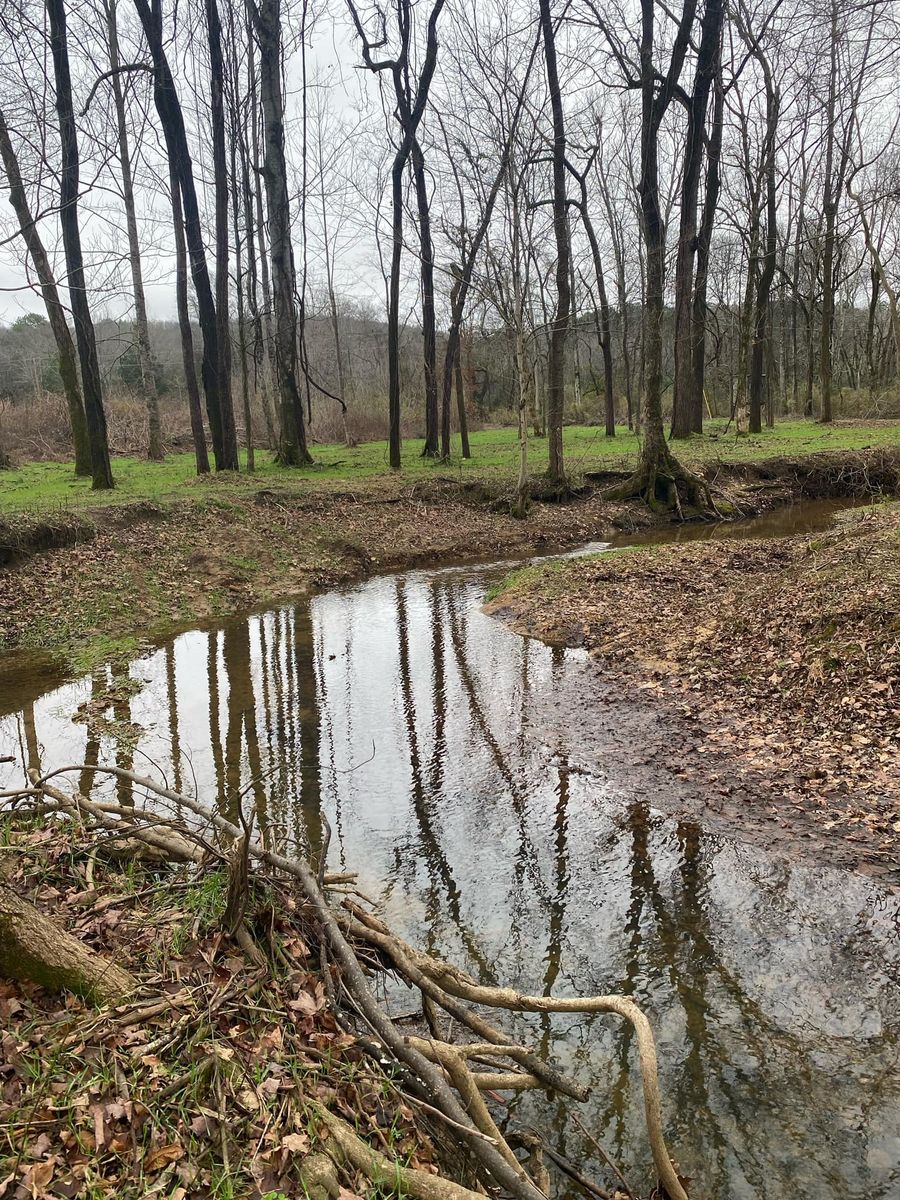 Pond Construction for Mud Creek Vegetation Management in Russellville, AL