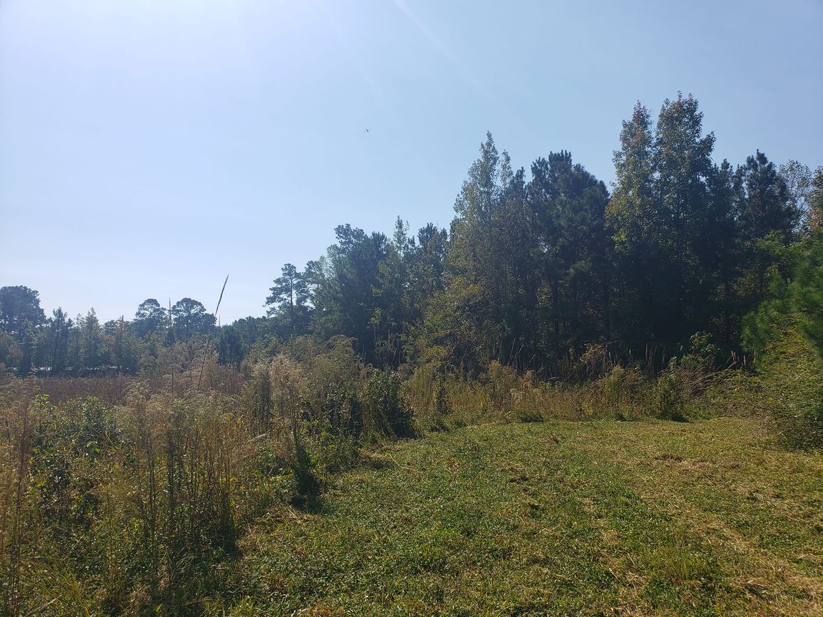 Bush Hogging for TJ Farm and Land Management in Loris, SC