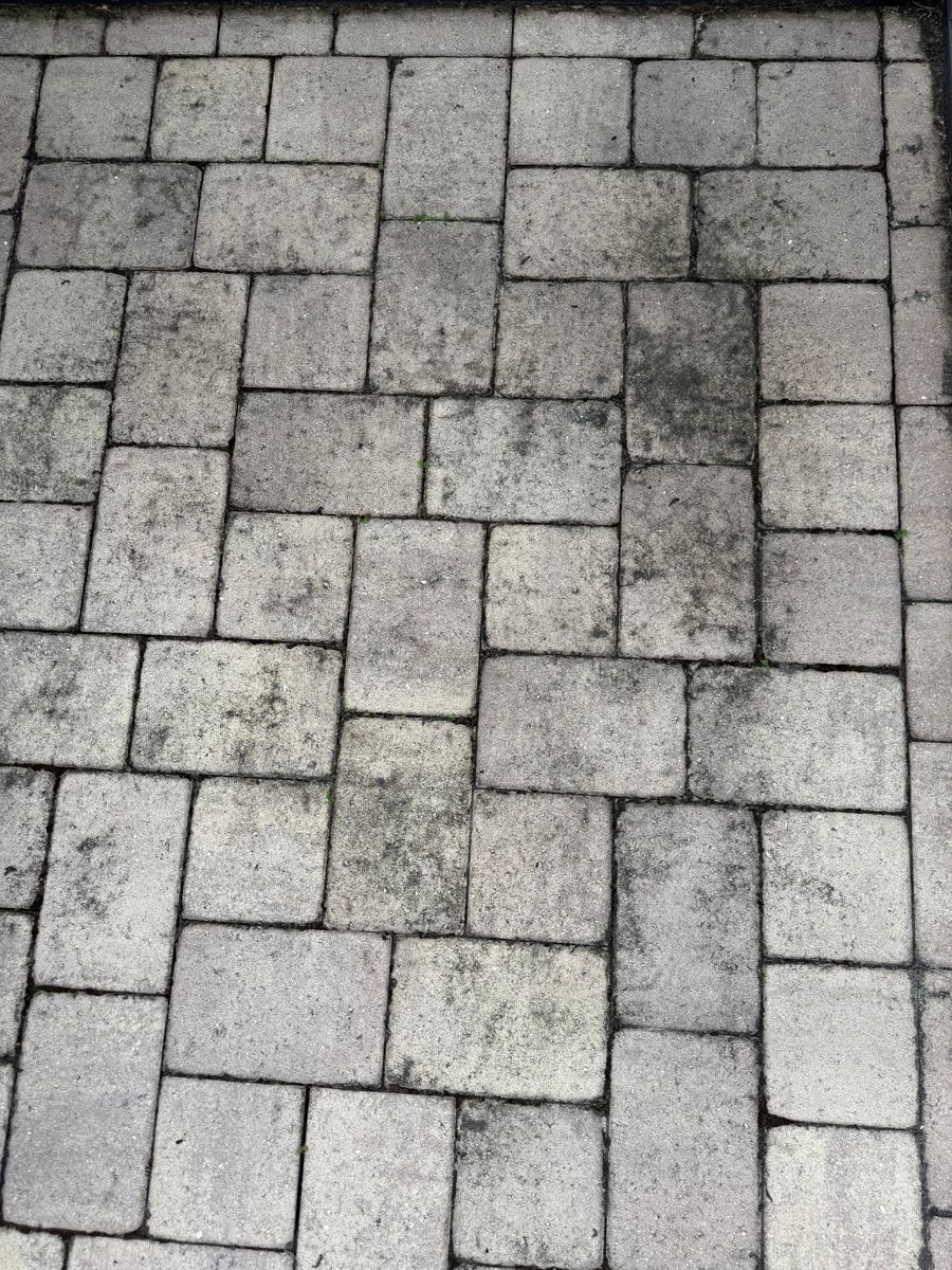 Driveway and Sidewalk Cleaning for Paratrooper Pressure Washing in Bradenton, FL