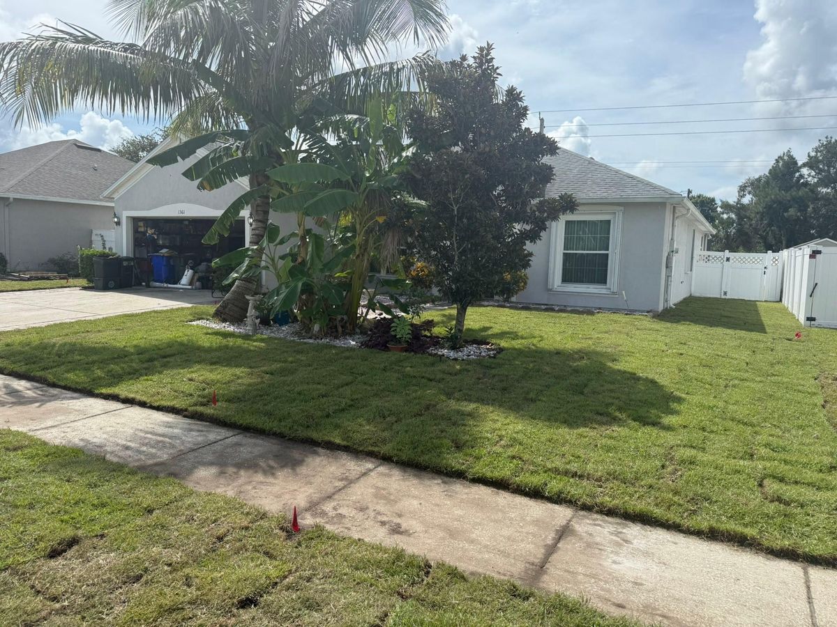 Landscape Removal for Florida Pro Turf in Rockledge, FL