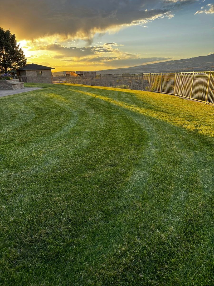 Lawn Maintenance for Sale Property Services in Montrose, CO