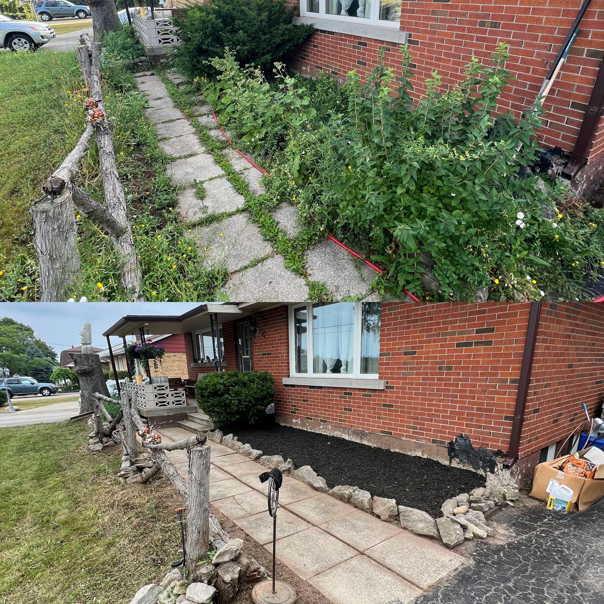 Tree and Shrub removal for CMN Exterior Maintenance in Hamilton, ON