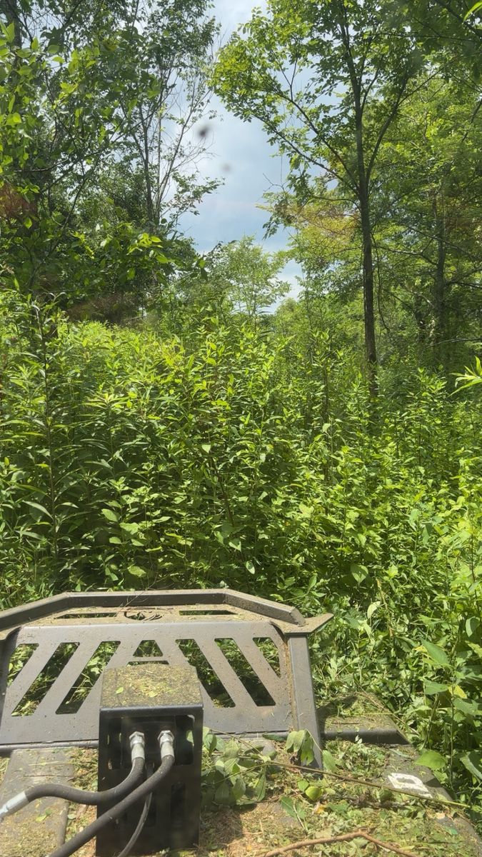 Land Clearing for Gregory Grass and Lawn in Lafayette, TN