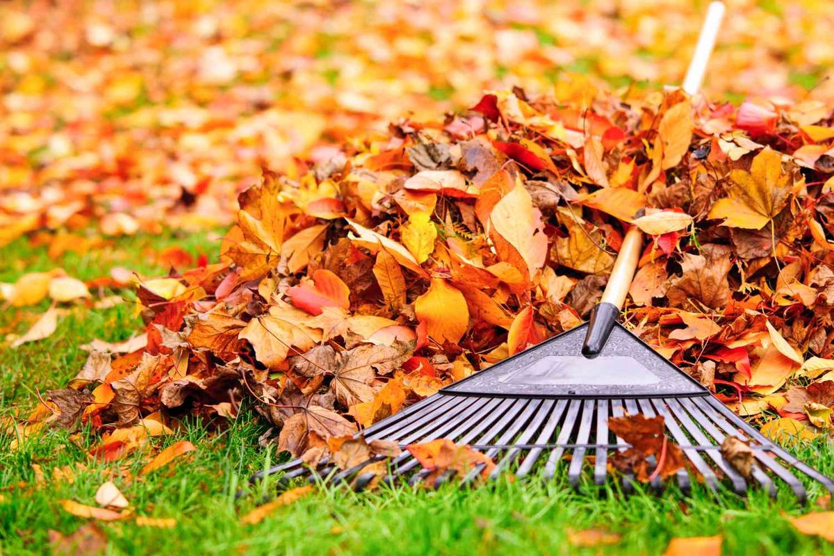 Fall Clean Up for JDR Texas Landscaping Pros in Seagoville, TX