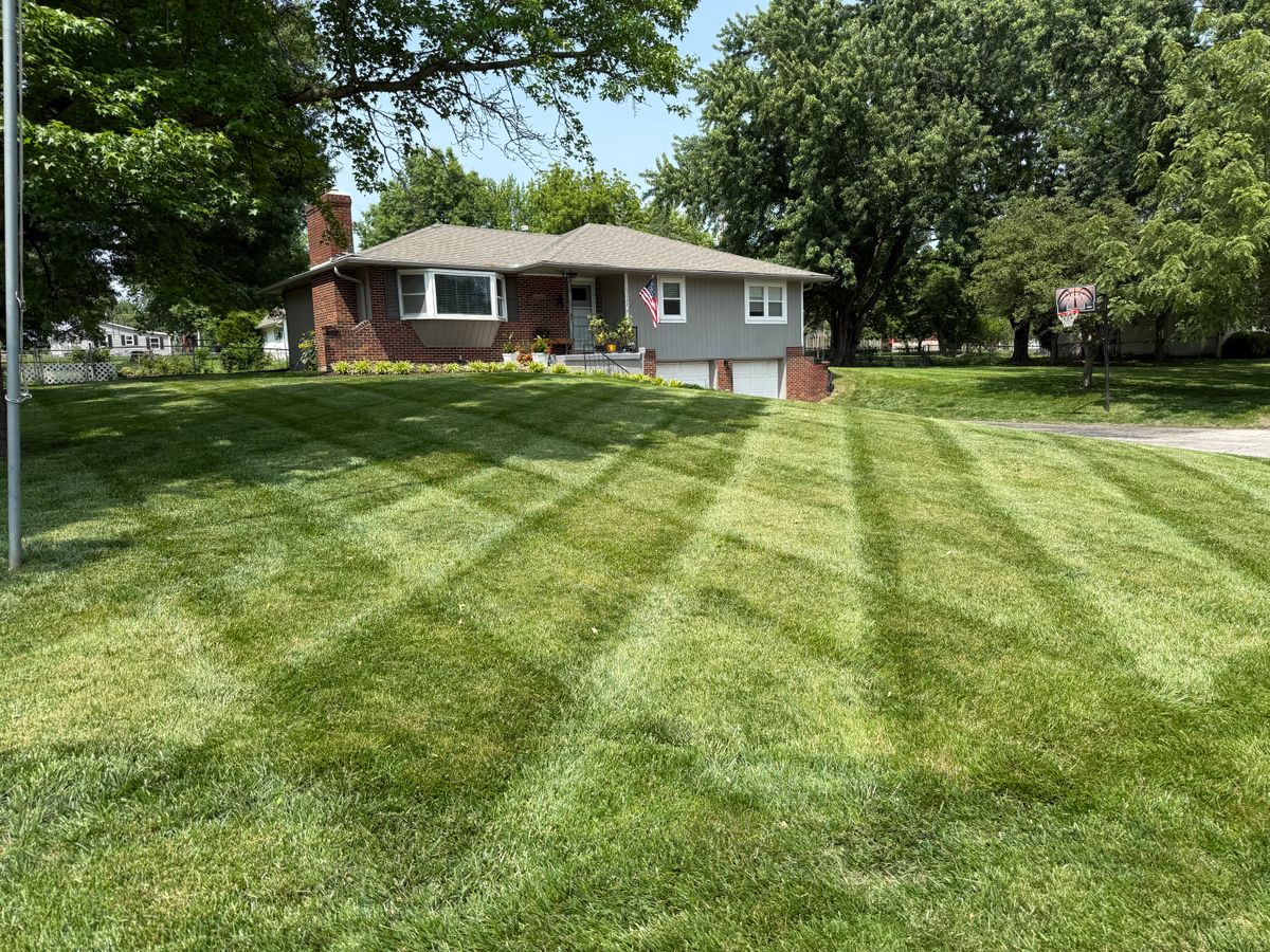 Fertilization for Elite Lawn Care Solutions in Leavenworth, KS