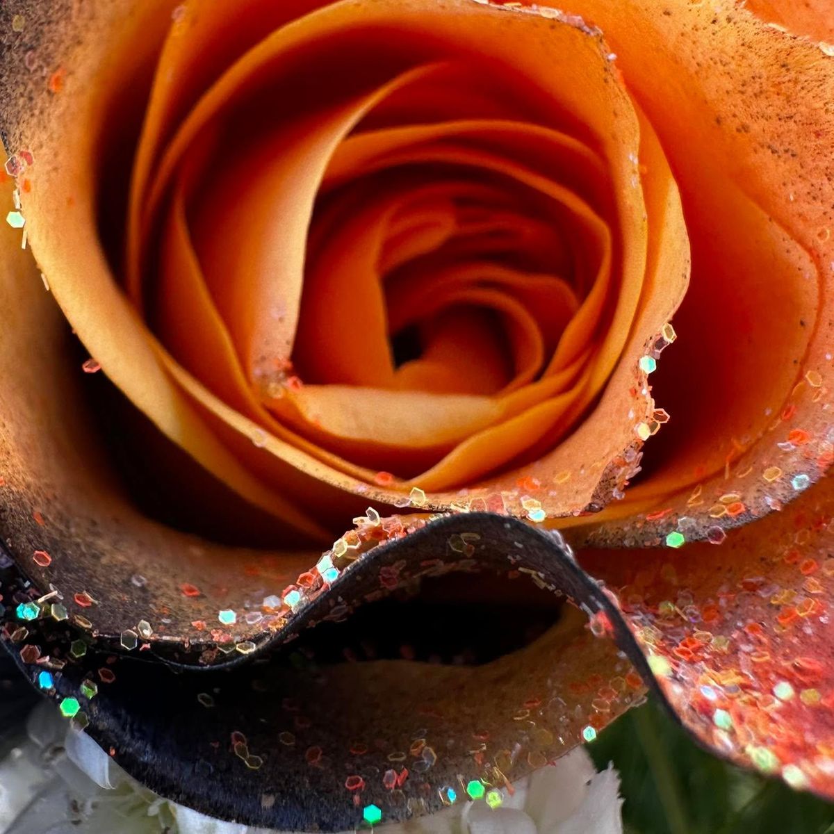 Medium Hand-tied Bouquet for The Dailey Daisy in Hardwick, VT