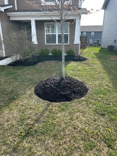 Mulch Installation for Plenty Landscaping Solutions in Indianapolis, IN