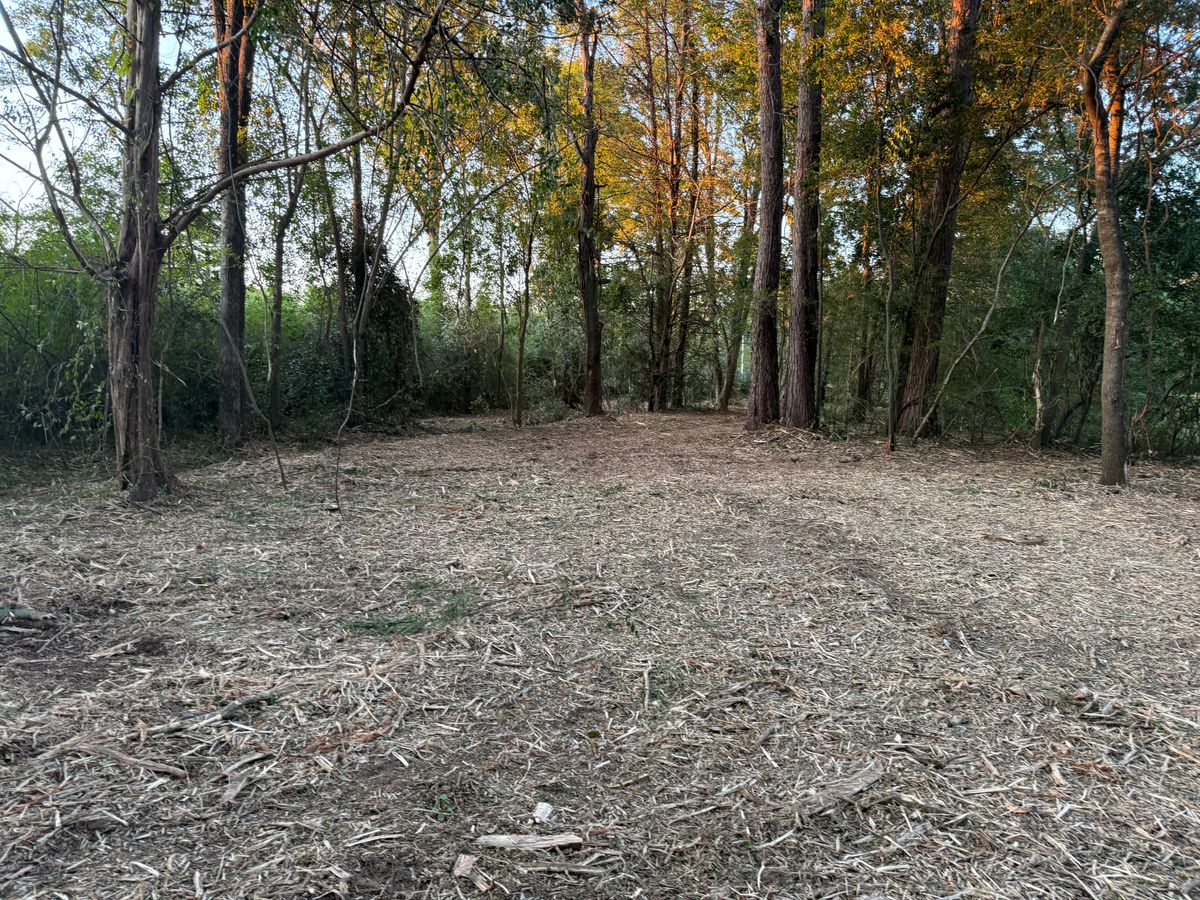 Tree Removal for T N L - Tree and Land Service in Reynolds, GA