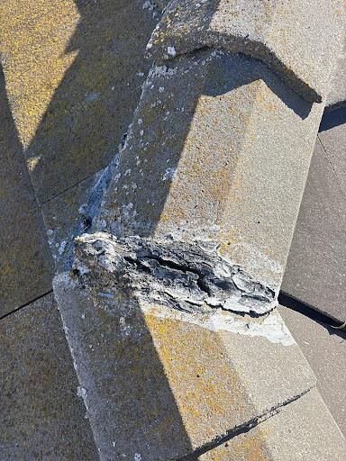 Mold Inspections for Lira Home Inspections in Concord, CA