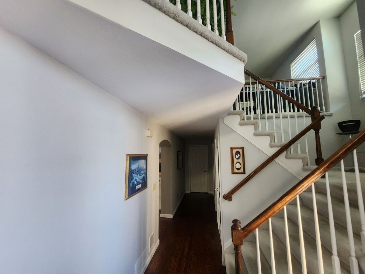 Interior Painting for Elite Solution LLC in Denver, CO