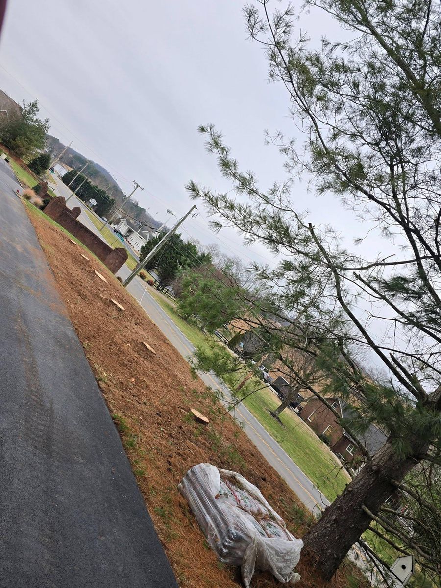 Tree Removal for M&L Lumber and Excavating in Jonesborough, TN
