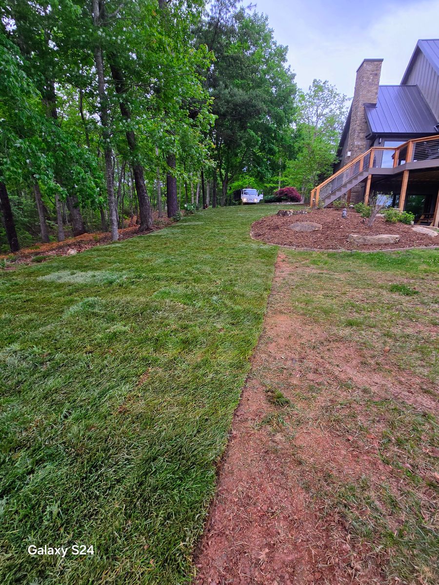 Sod installation for C4 TrueVision Renovations in Asheville, NC