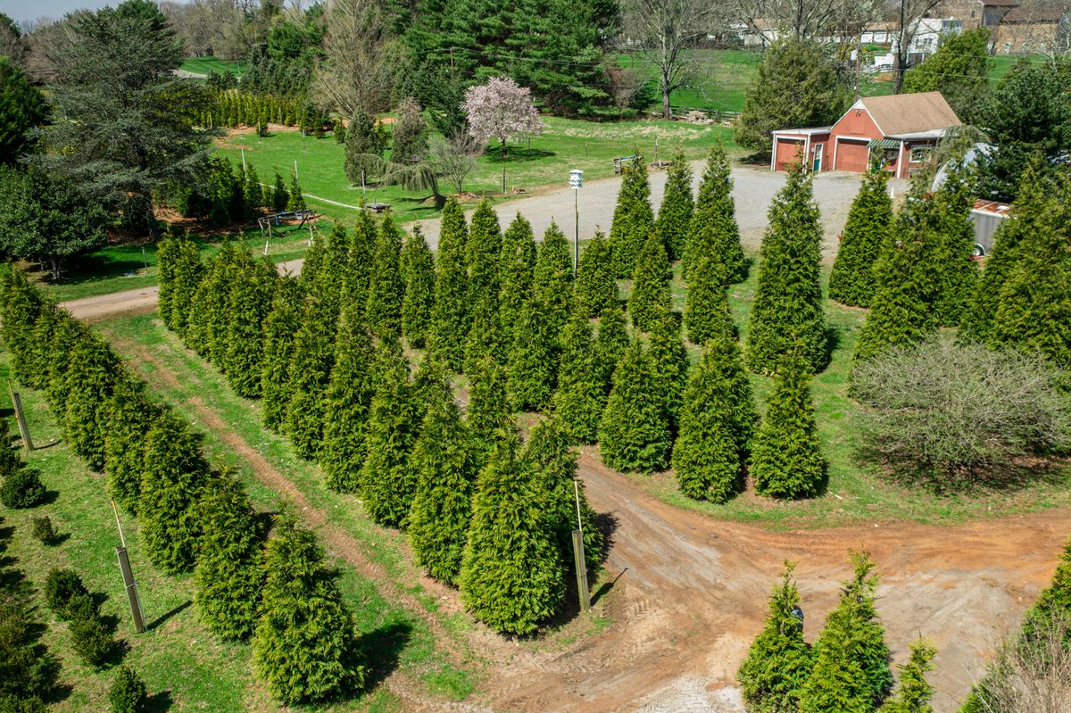 Green Giant Nursery for  in Morristown, NJ