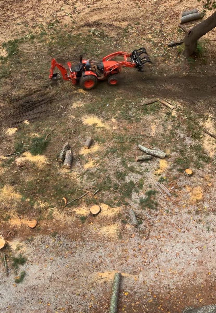 Fall Clean Up for Brooks Tree Service, LLC in Casar, NC