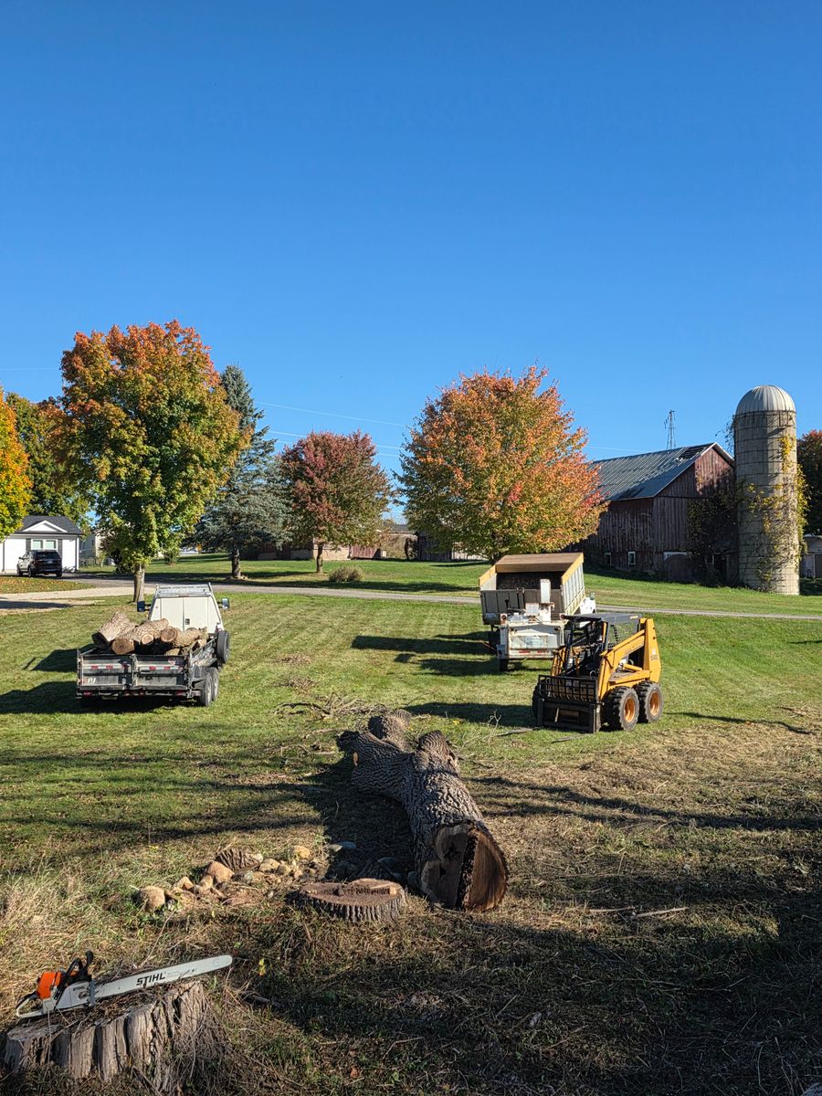 Skid Steer Services & Trenching for D Hale Tree Service in Ann Arbor, MI