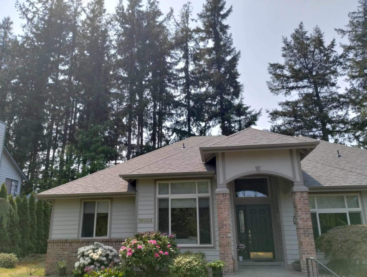 Roof Repairs for Rubicon Roofing in King County, WA