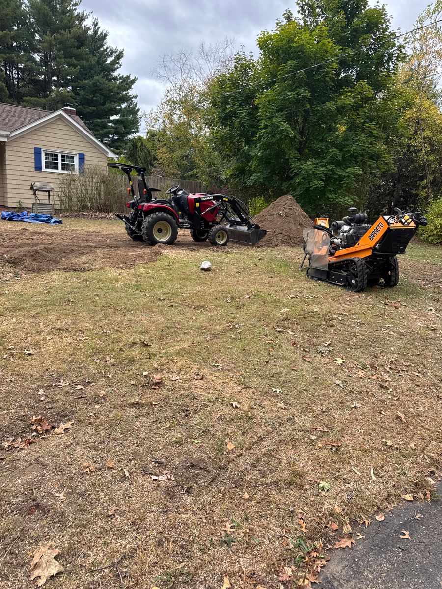 Stump Removal for Jills Stump Grinding and Firewood in Shelton, CT