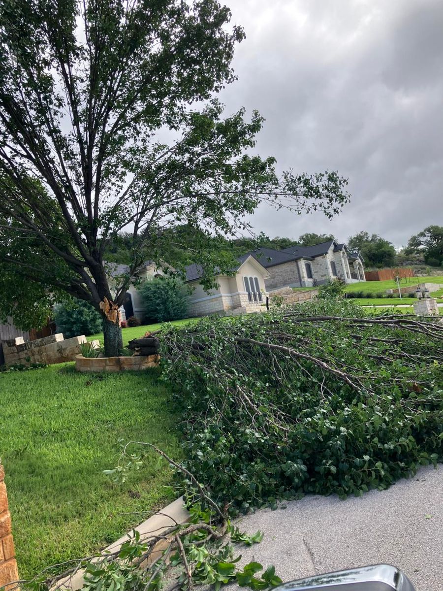 Tree Removal for Father & Son Lawn Care in Harker Heights, TX