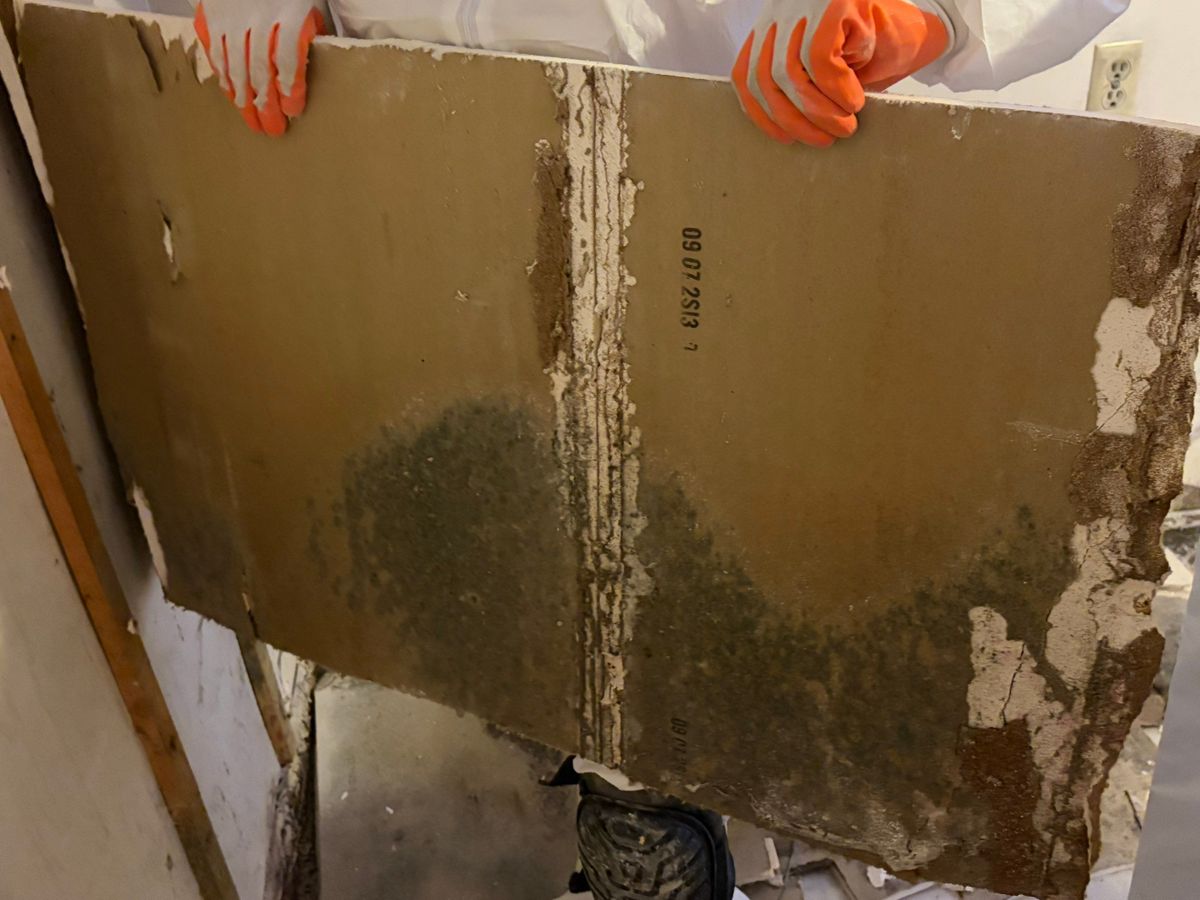 Mold Remediation for ACM Environmental in Salt Lake City, UT