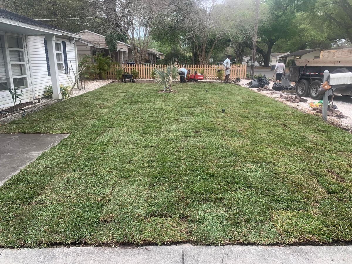 Sod Installation  for Affordable Property Preservation Services in Tampa, Florida