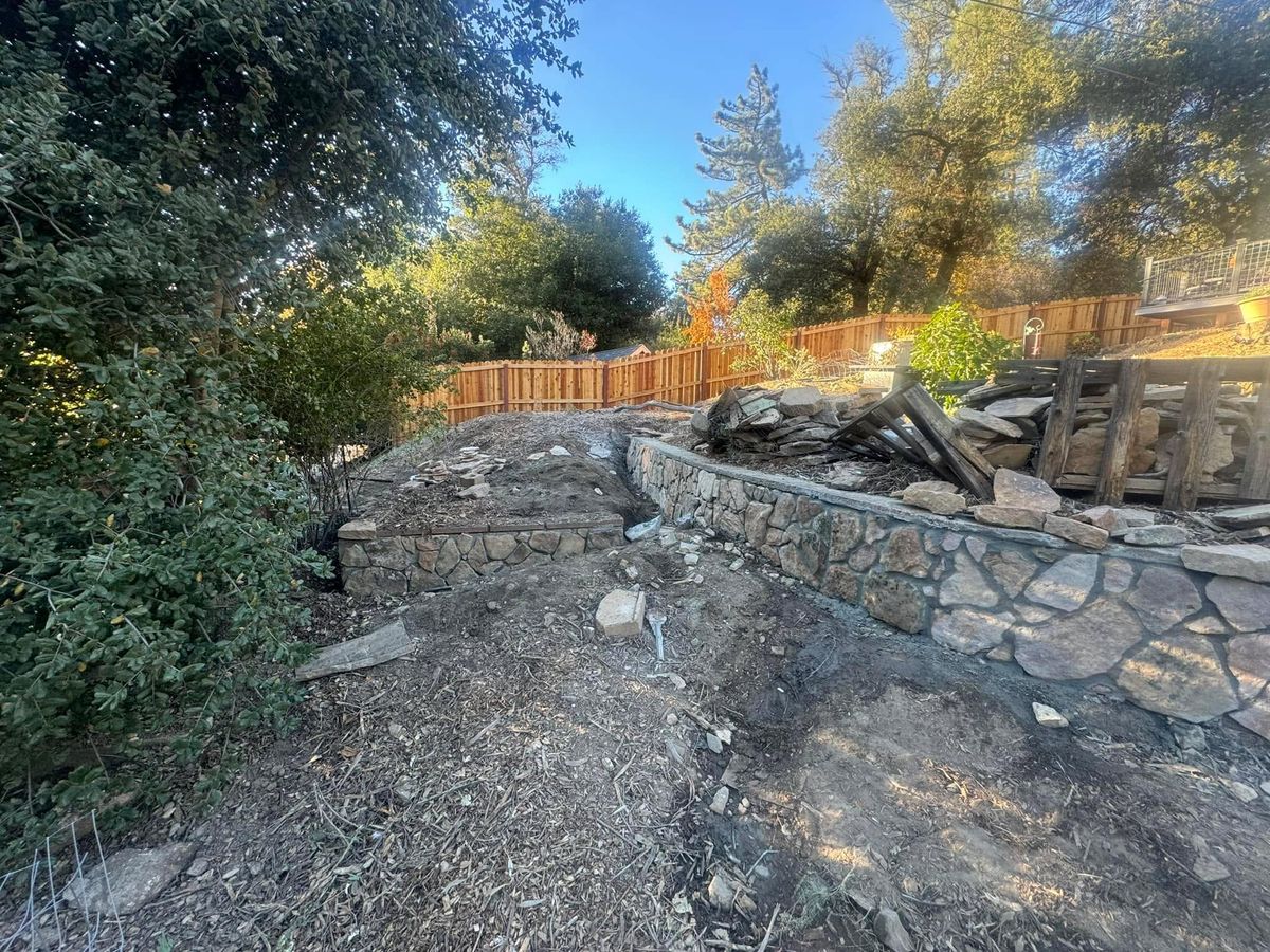 Property Clean Up for The Tree Fairy in Temecula, CA