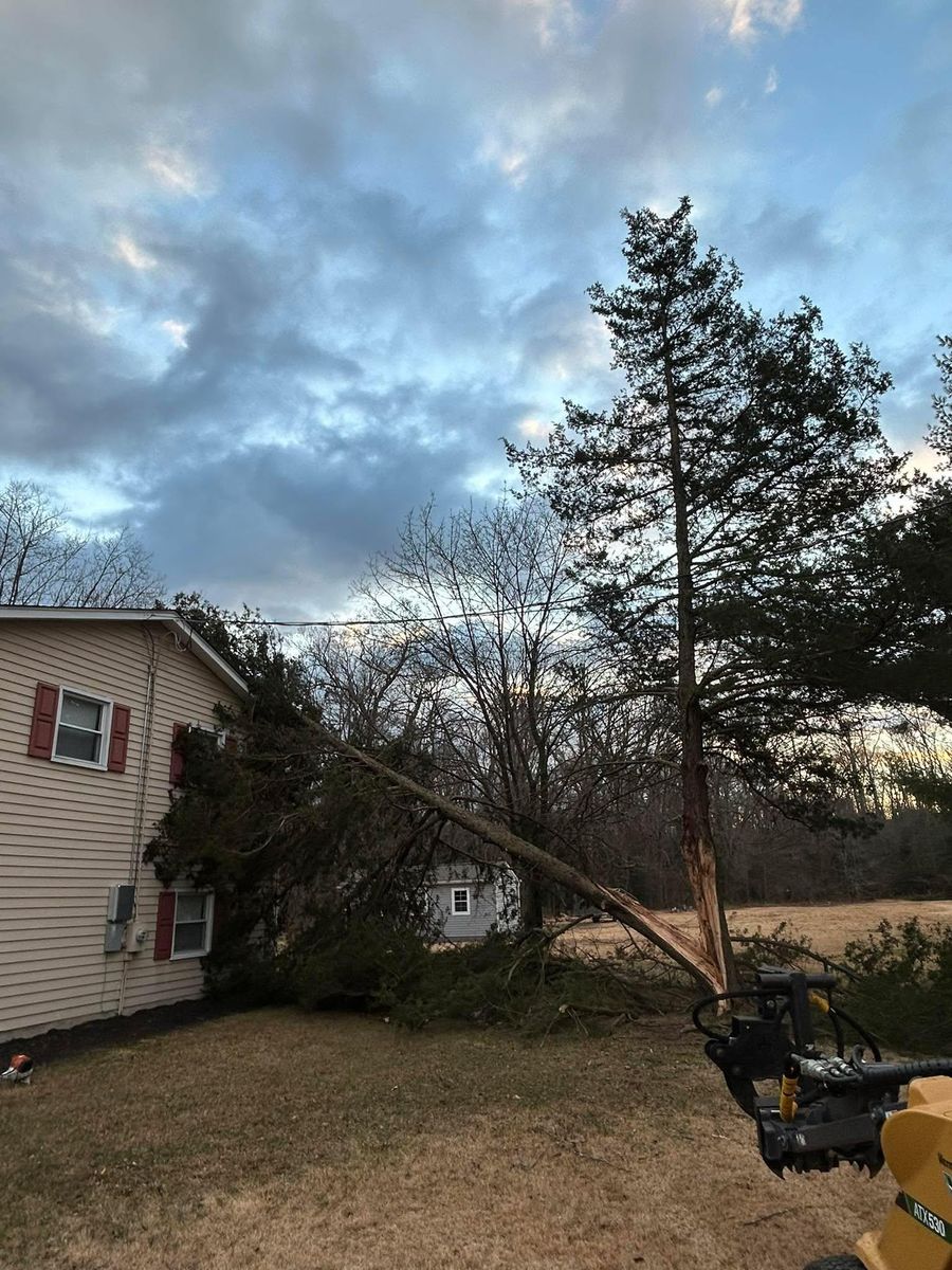 Emergency Services for Hingewood Tree Service in Salem, NJ