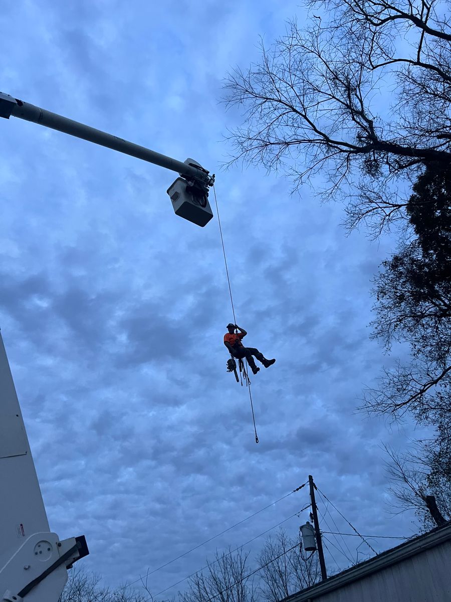 Tree Trimming for Ground To Sky Tree Care in Asheville, North Carolina