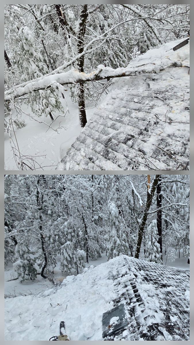 Storm Damage for George Staddan's Professional Tree Care in Placerville, CA