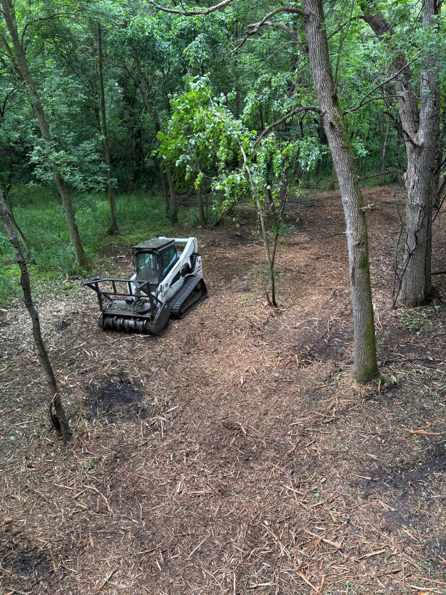 Underbrush Clearing for Root Land Management in Watkins, MN